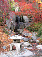 Japanese Garden (vertical)